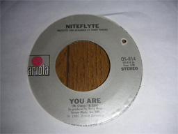 Niteflyte - You Are