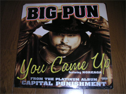 Big Pun - You Came Up
