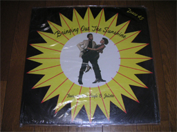 Otis Gayle - Bringing Out The Sunshine